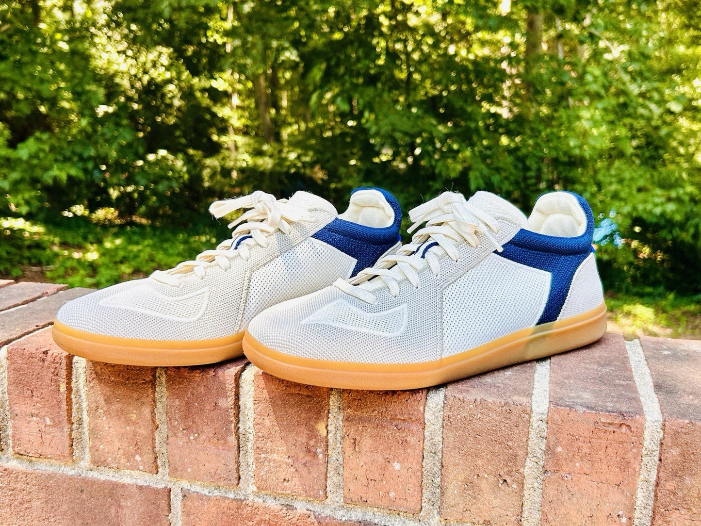 NWOT ROTHY’S RS01 Sneaker in Hudson! Men’s US 12 | $179 Retail | See Pics!