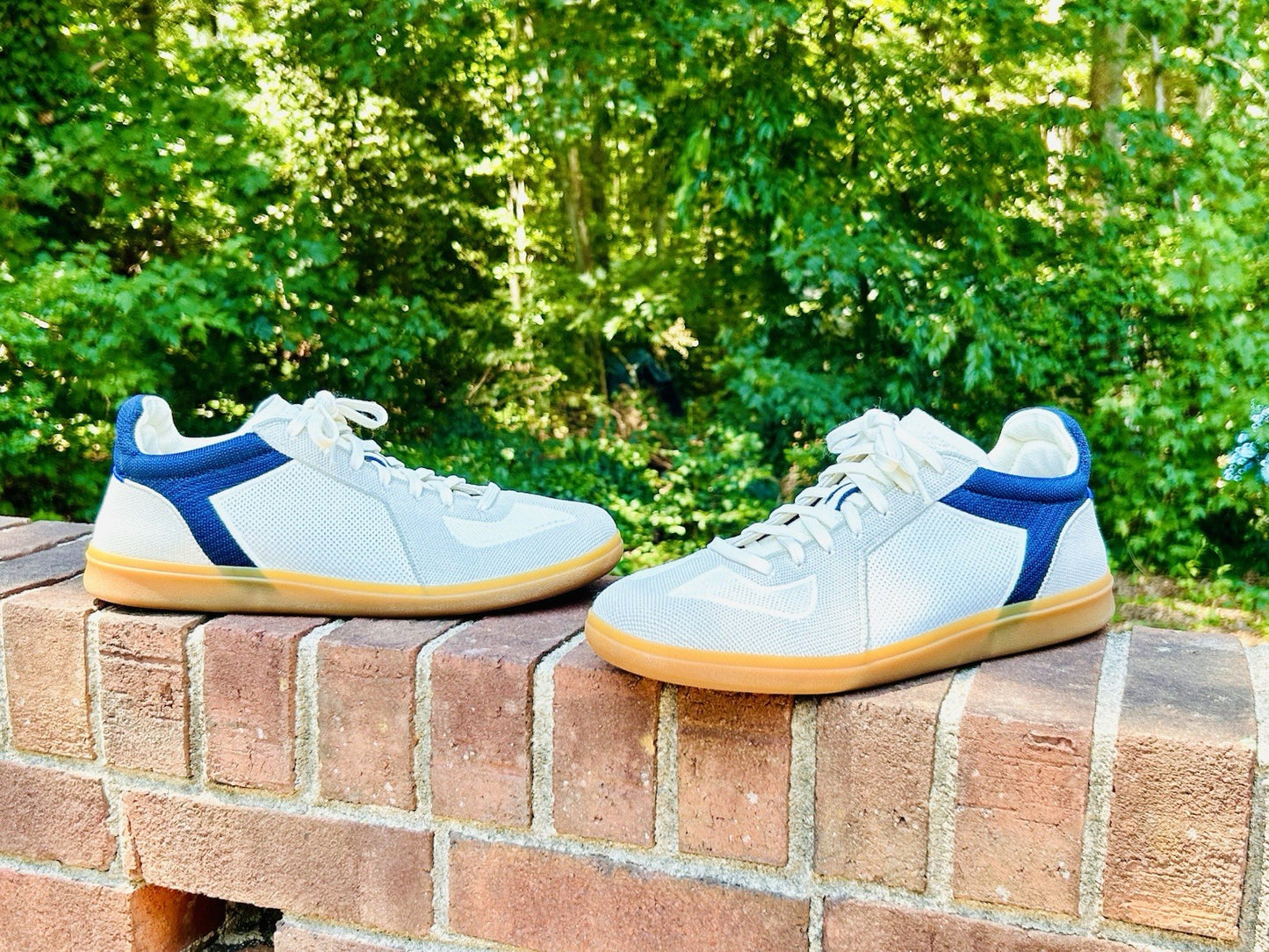 NWOT ROTHY’S RS01 Sneaker in Hudson! Men’s US 12 | $179 Retail | See Pics!