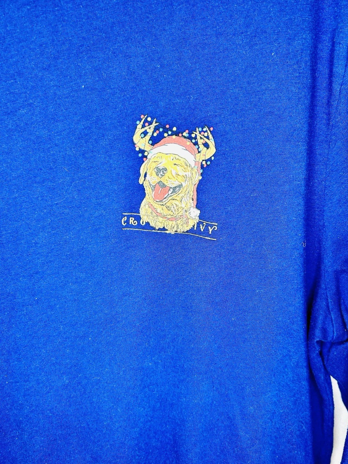 Crown & Ivy Men’s Large Blue Long Sleeve Golden Retriever Christmas Graphic Tee