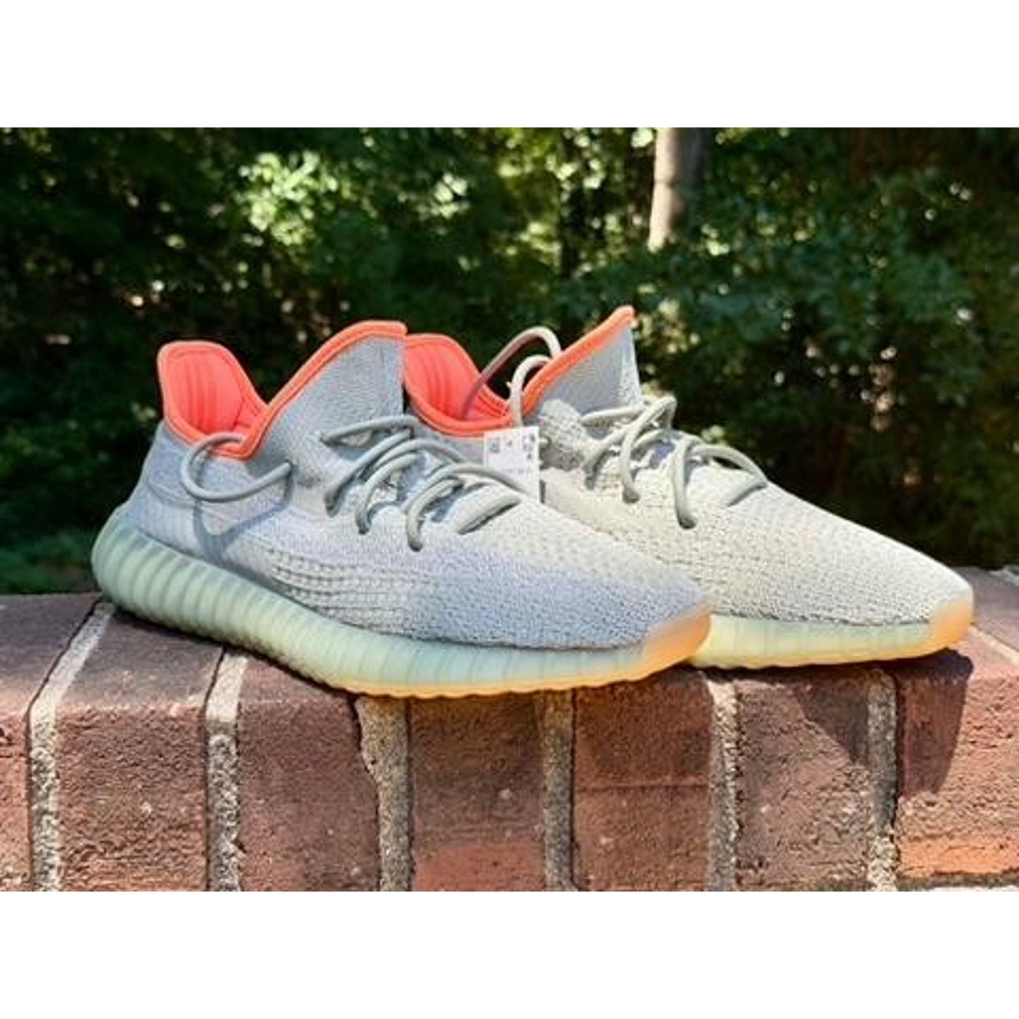 Adidas Yeezy Boost 350 V2 Desert Sage Mens Size 12 FX9035 NIB w/ COA