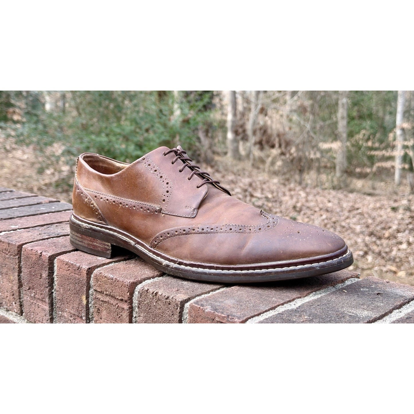 Cole Haan Men's Warren Welt Wingtip Oxford Brown Leather Size 11.5 M