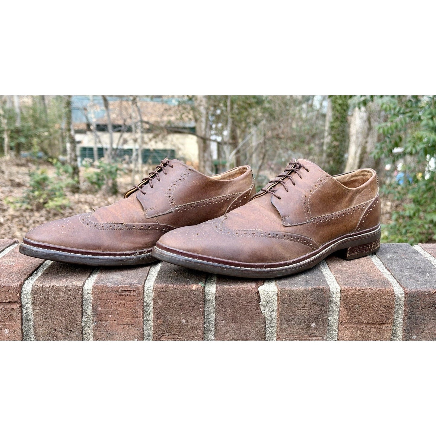 Cole Haan Men's Warren Welt Wingtip Oxford Brown Leather Size 11.5 M
