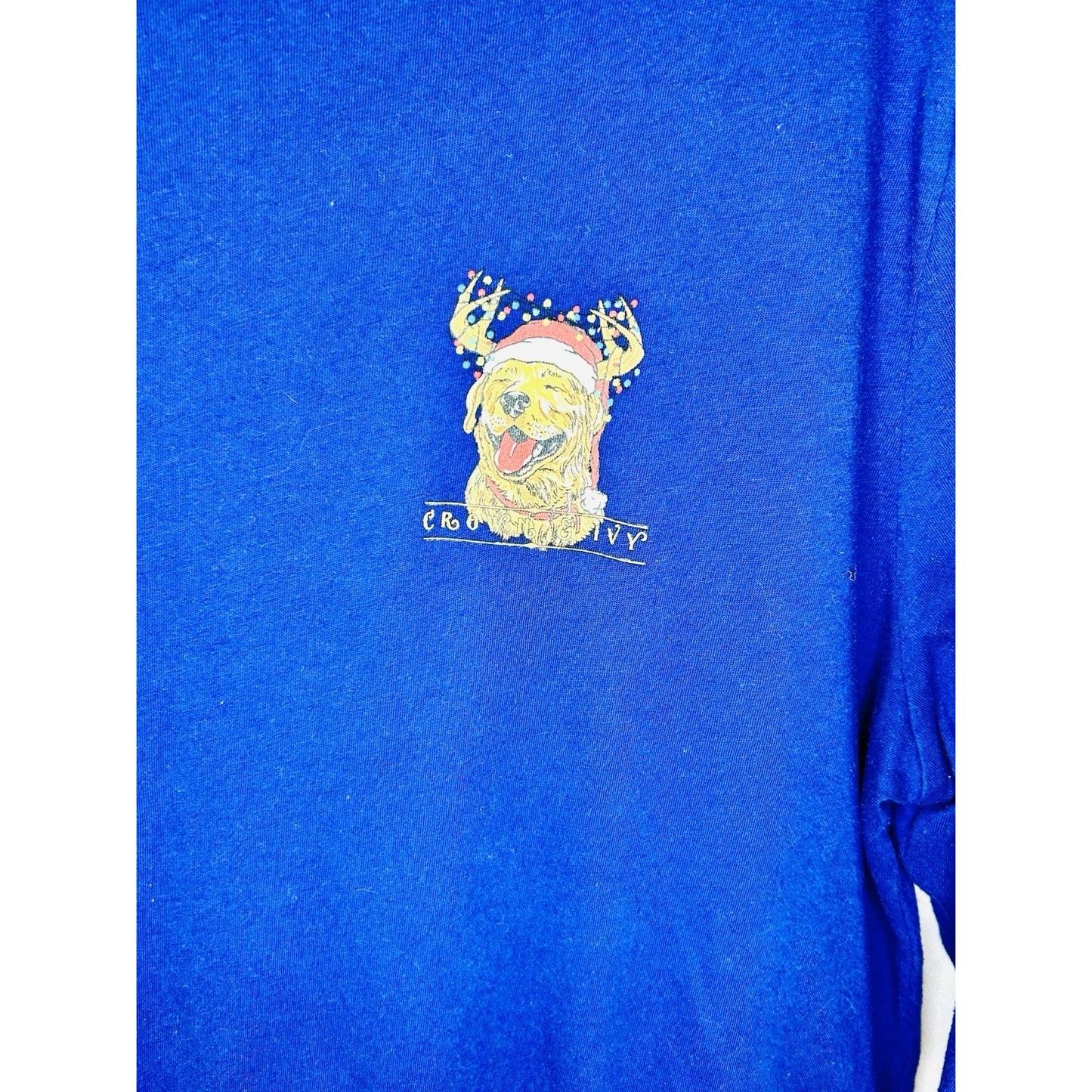 Crown & Ivy Men’s Large Blue Long Sleeve Golden Retriever Christmas Graphic Tee