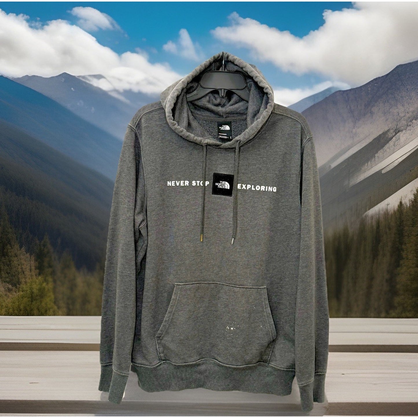 The North Face Hooded Sweater Men's Size Medium Pullover Hoodie Logo Black