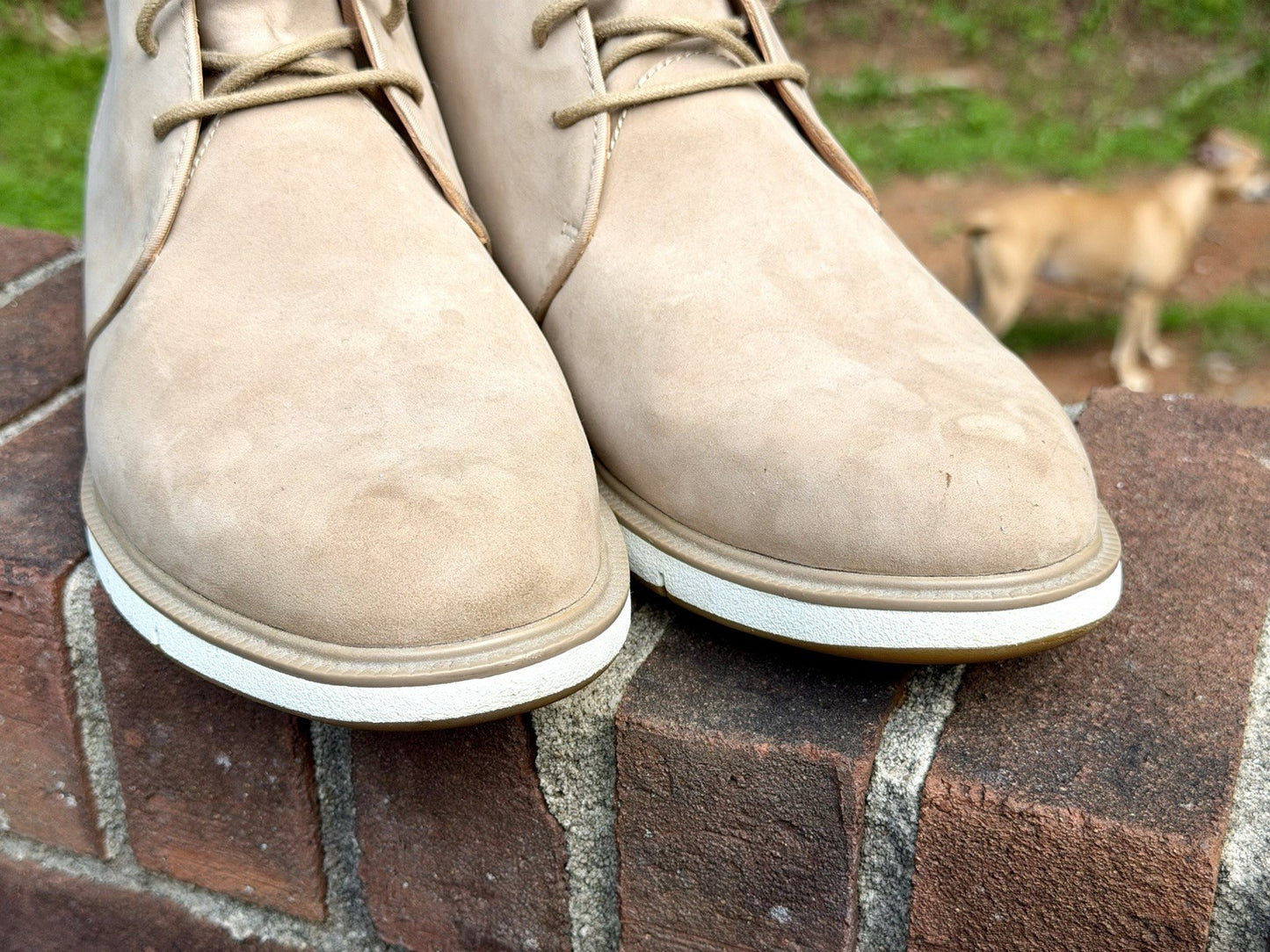 SWIMS Men Motion Chukka Waterproof Boot Size 12 Tan Beige - Worn Once - $250 New
