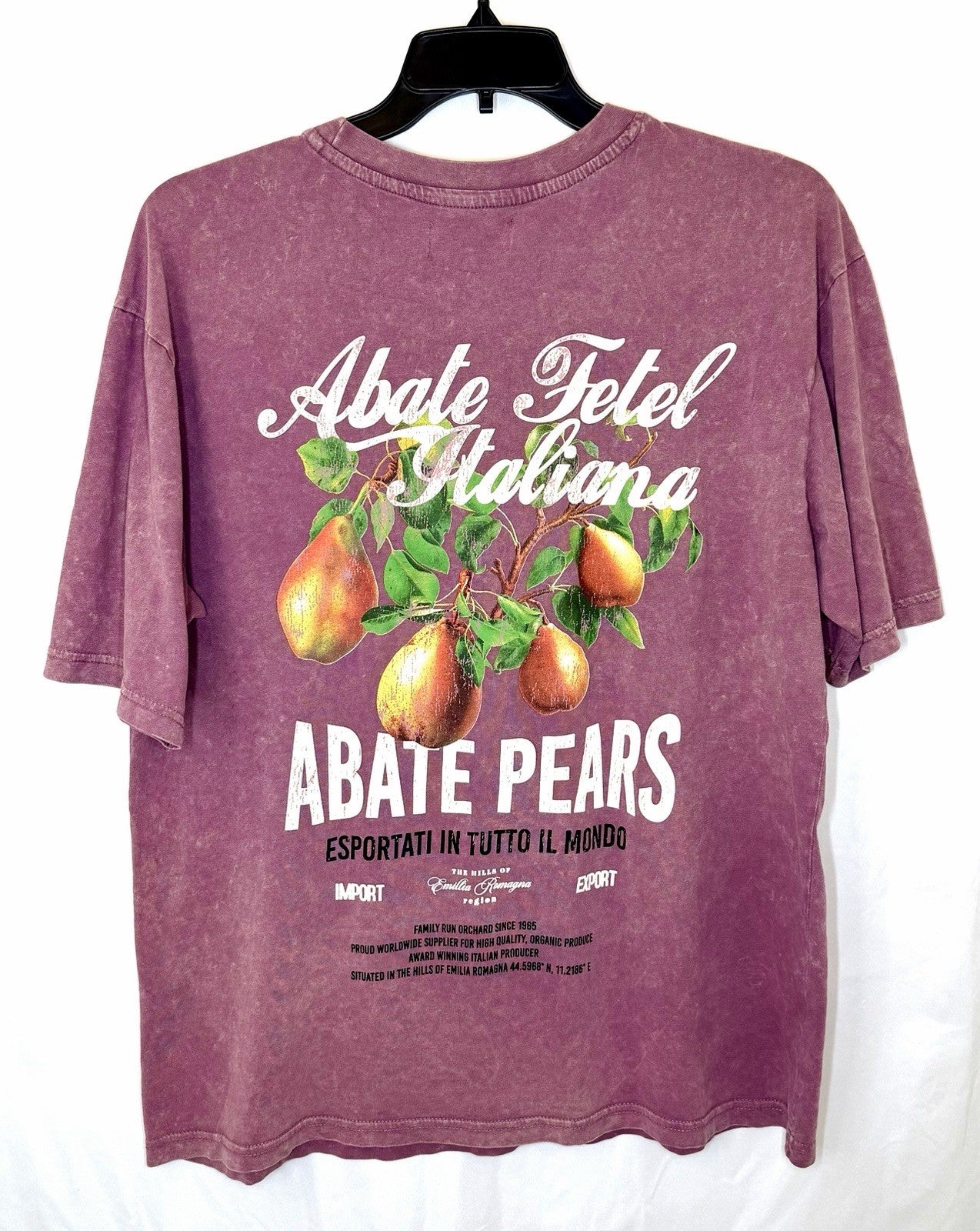 Primark Men’s Large Relaxed Fit Heather Burgandy “Pears” T-shirt