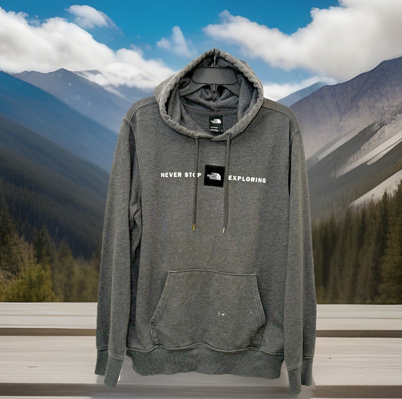 The North Face Hooded Sweater Men's Size Medium Pullover Hoodie Logo Black