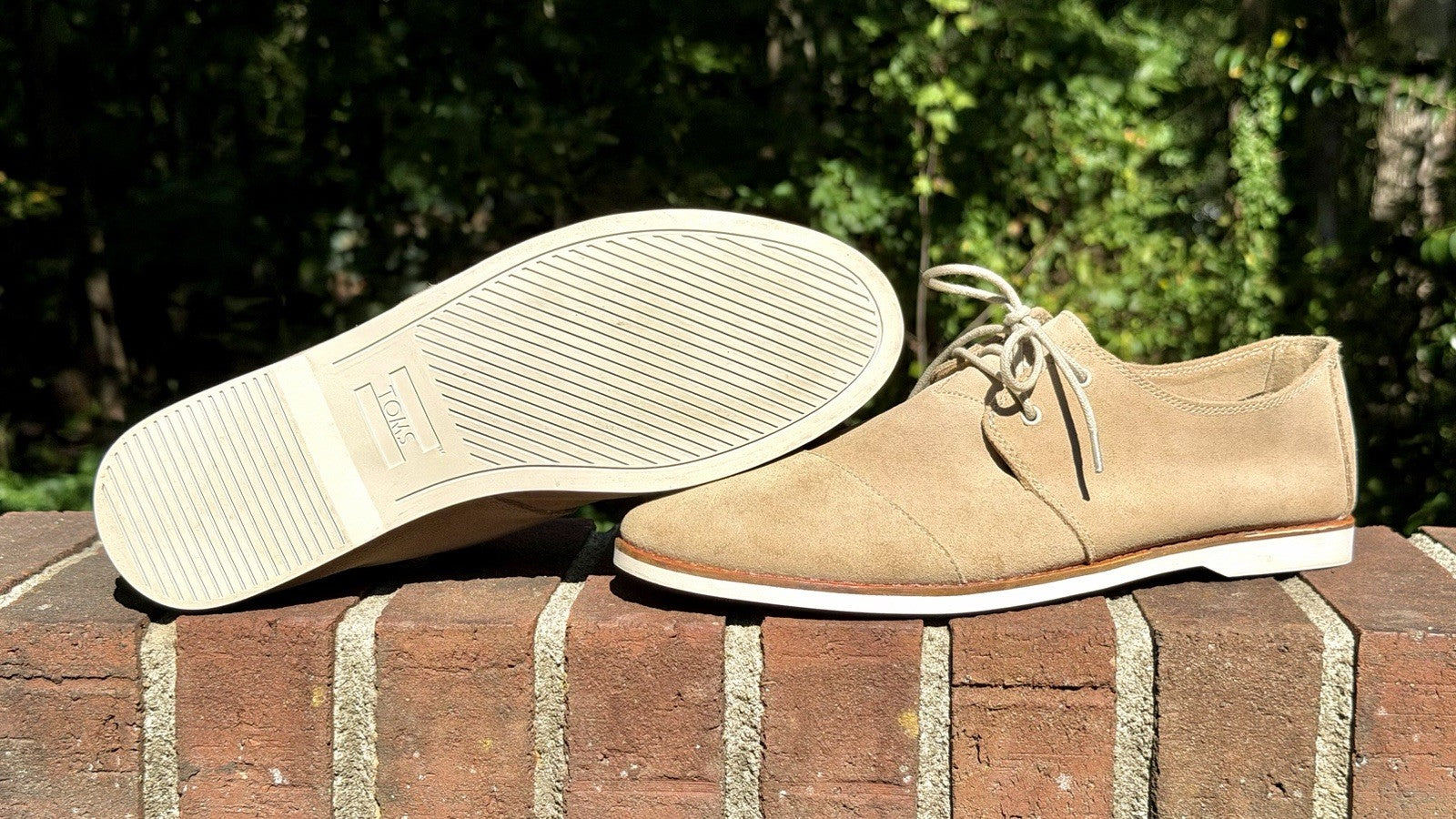 Toms’s Hensley / Size 10.5 / Birch Nubuck /Lace Up / Casual / Career / Shoes