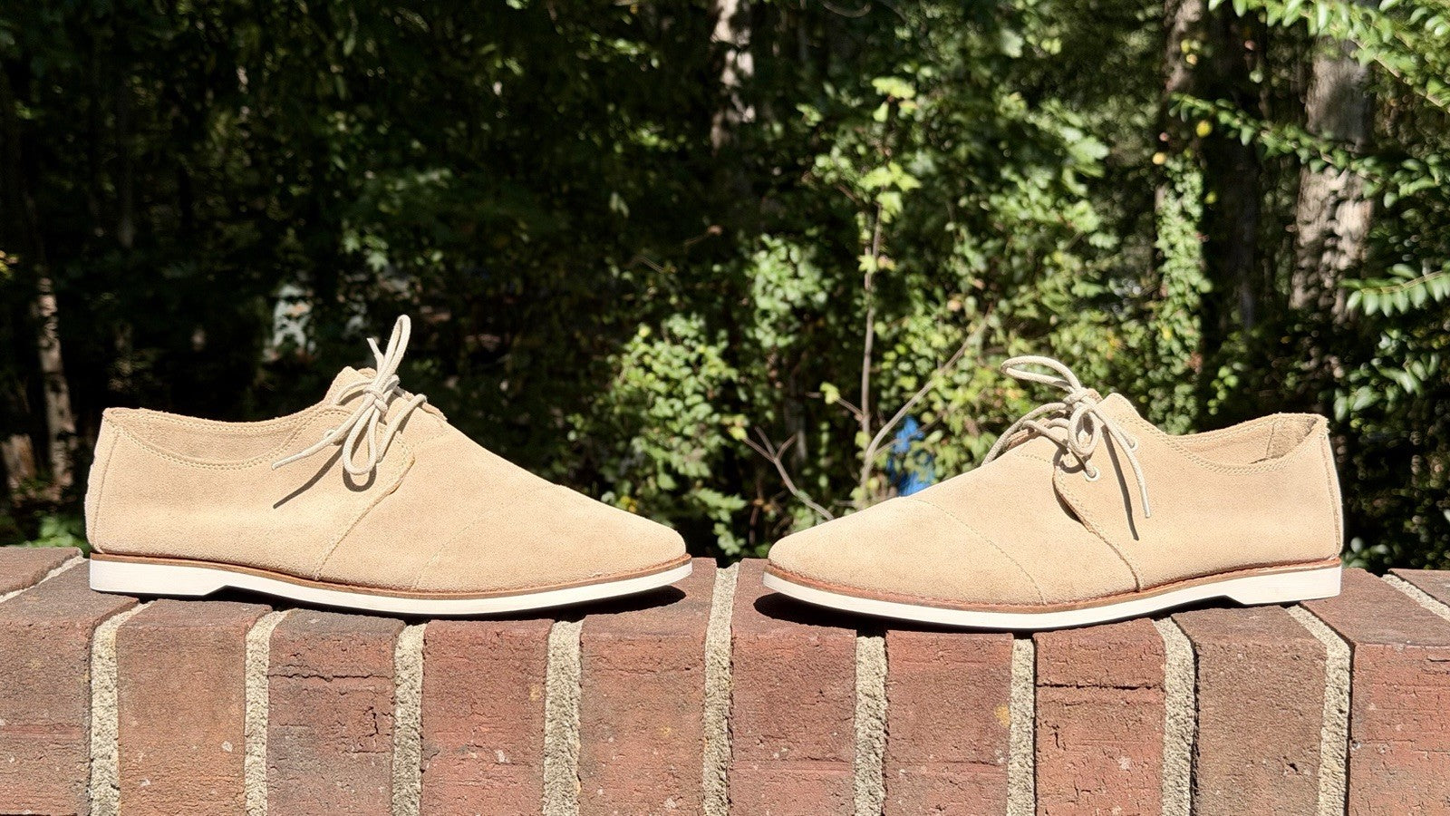 Toms’s Hensley / Size 10.5 / Birch Nubuck /Lace Up / Casual / Career / Shoes