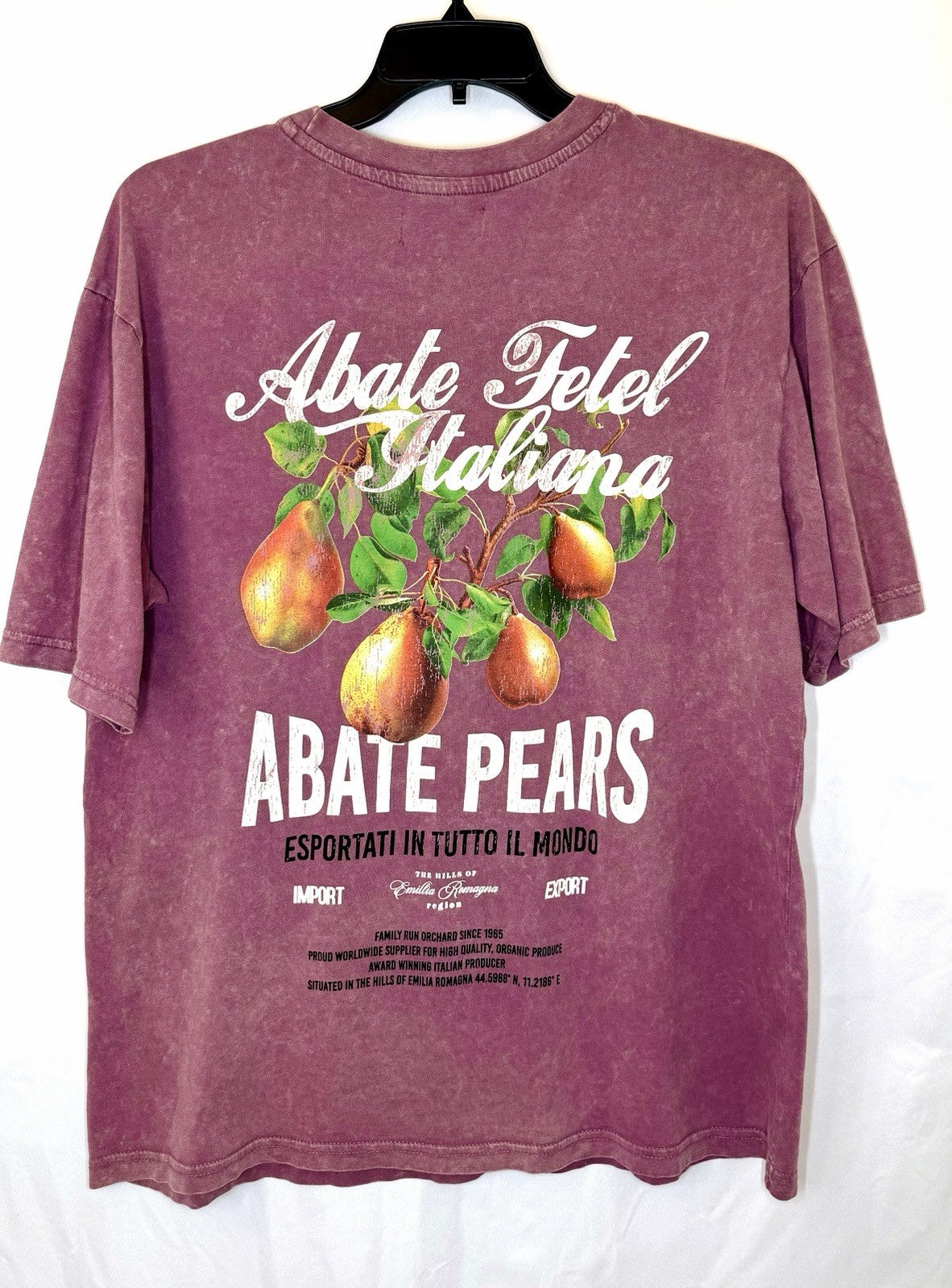 Primark Men’s Large Relaxed Fit Heather Burgandy “Pears” T-shirt