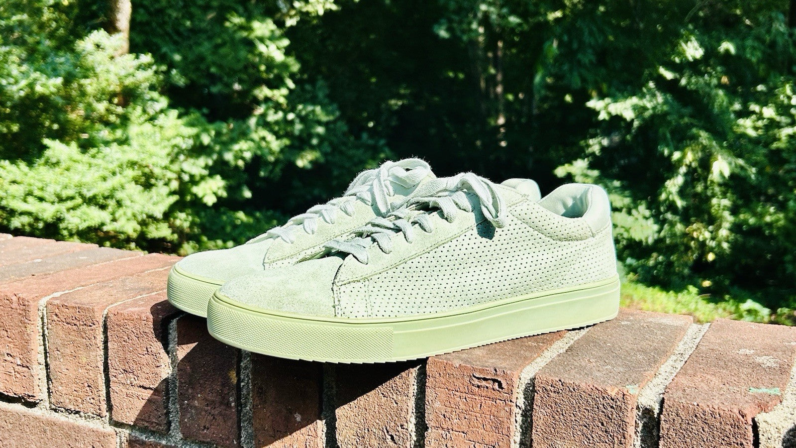 Rare!!! Steve Madden Men’s Mint Green Sneaker / Low Top /Leather / Men’s Size 10