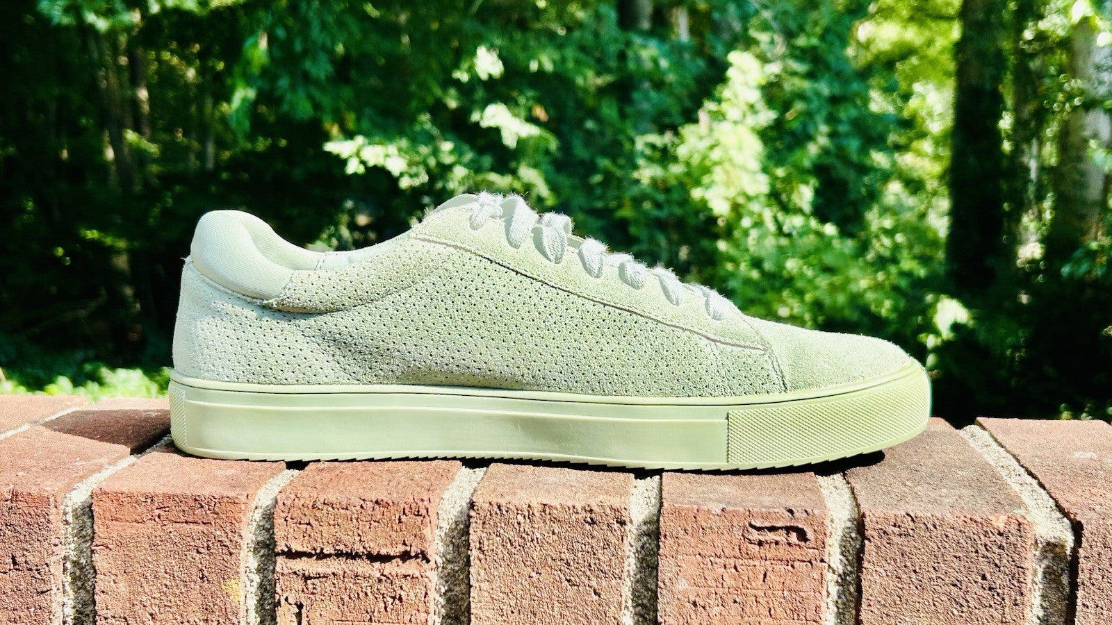 Rare!!! Steve Madden Men’s Mint Green Sneaker / Low Top /Leather / Men’s Size 10