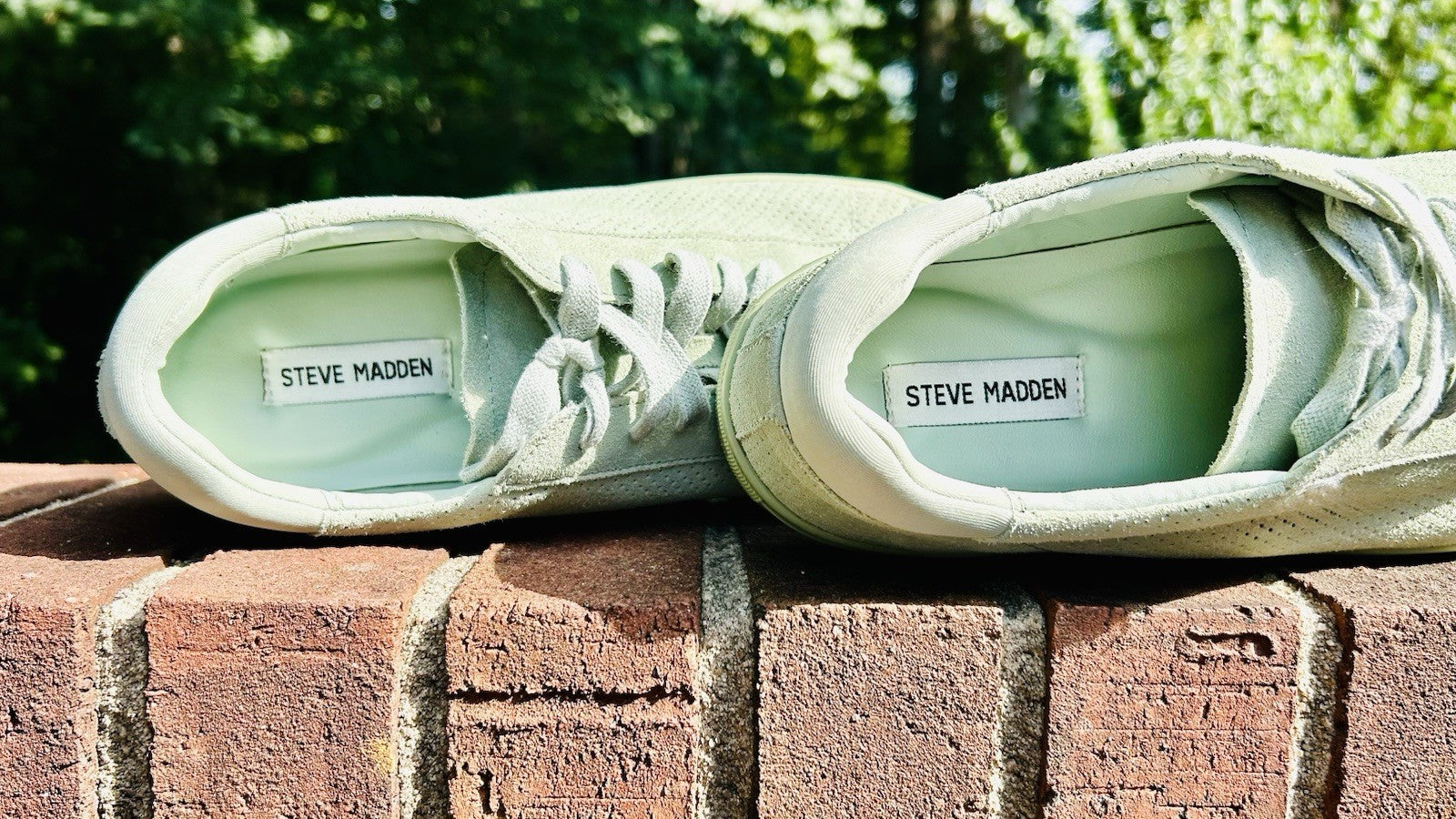 Rare!!! Steve Madden Men’s Mint Green Sneaker / Low Top /Leather / Men’s Size 10