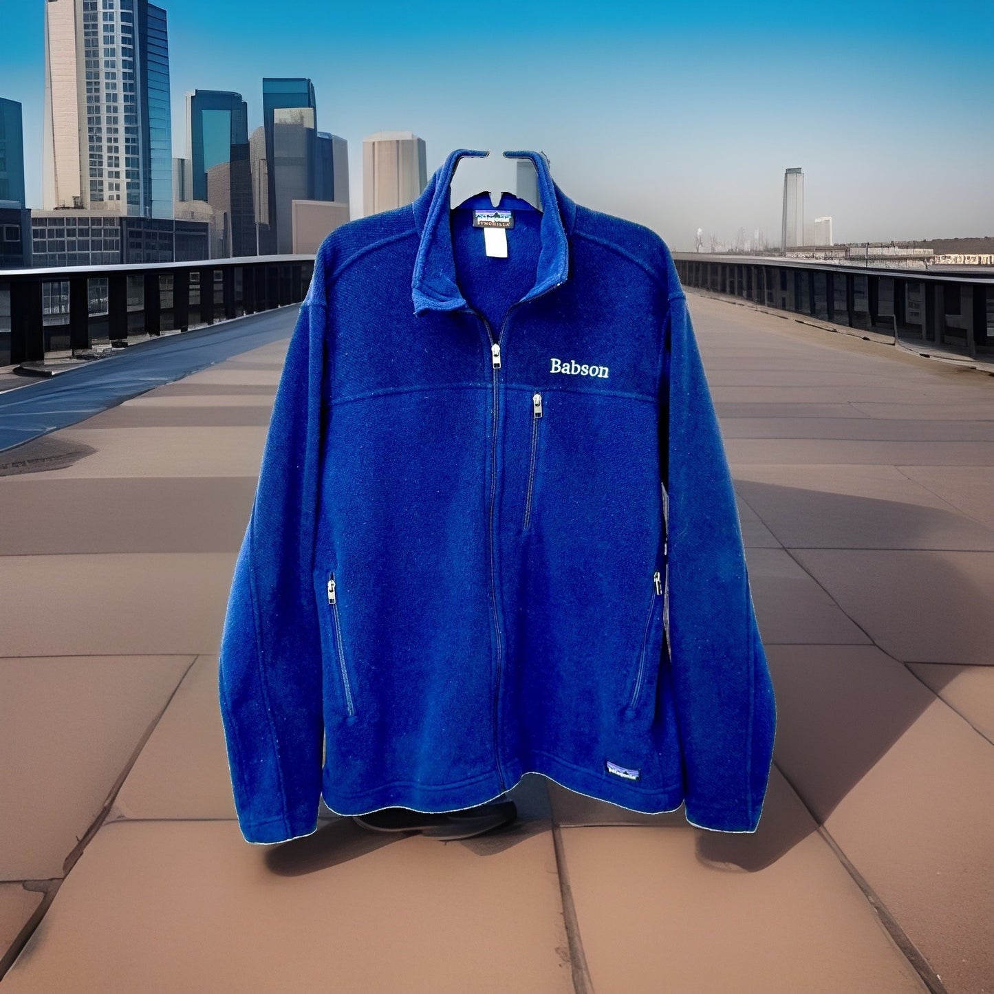 Patagonia Men's Large Blue Simple Synchilla Full Zip Fleece Jacket