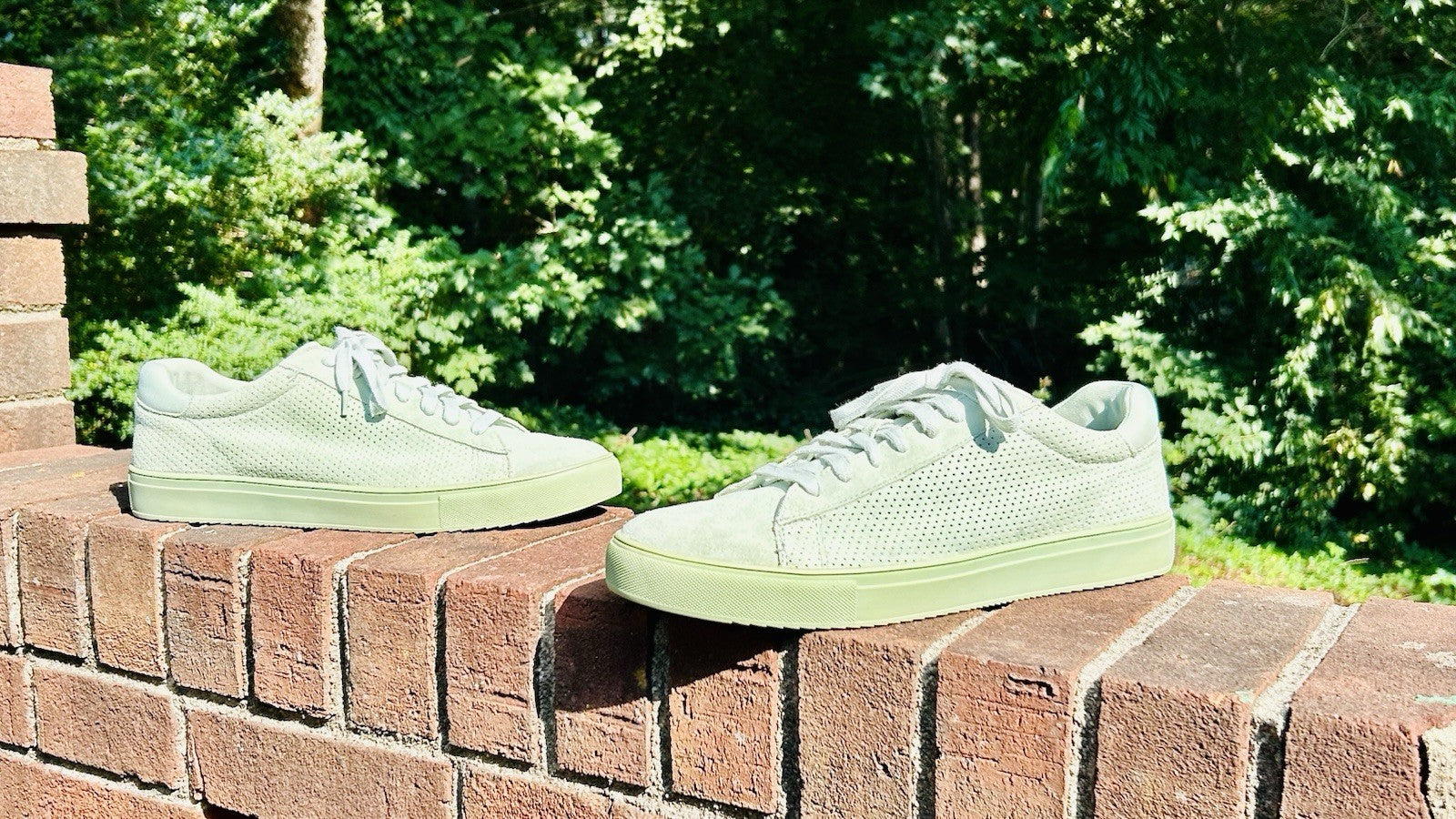 Rare!!! Steve Madden Men’s Mint Green Sneaker / Low Top /Leather / Men’s Size 10