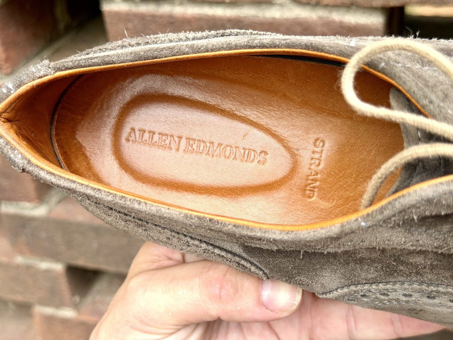 Allen Edmonds Strand Sneaker Grey Suede Men’s 12D Oxford Dress Shoes $300+ New
