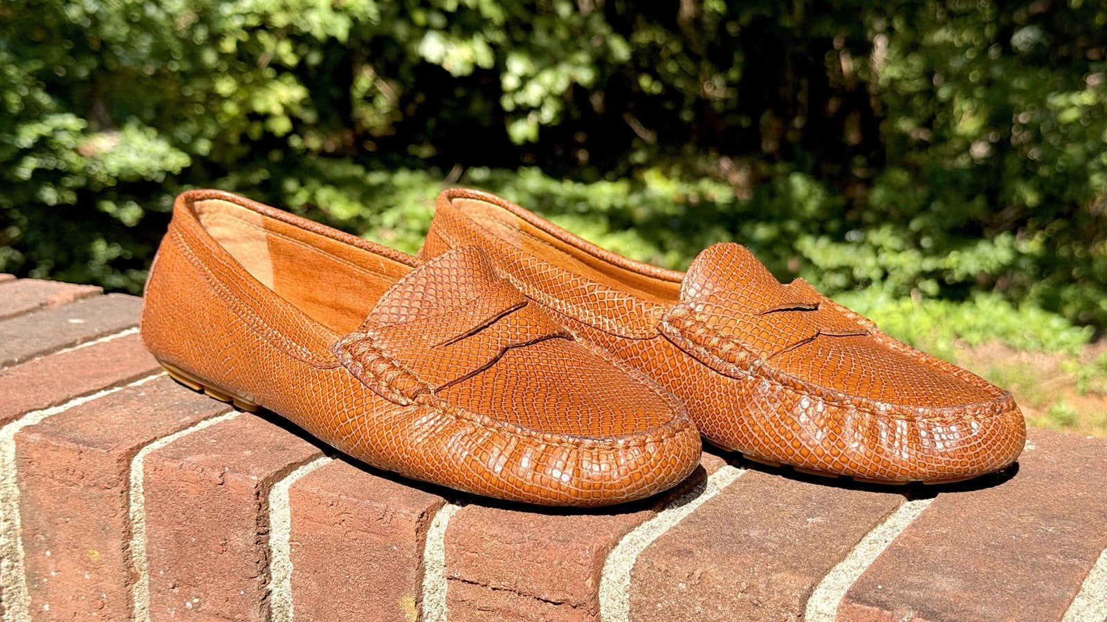 Lauren Ralph Lauren / Women's Camila Moccasin Size 10B / Polo Tan Glossy Snake