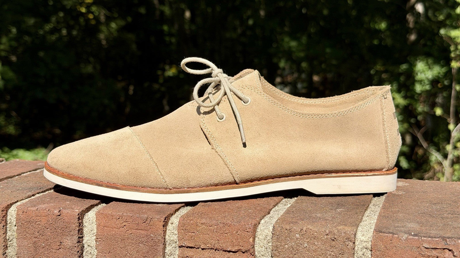 Toms’s Hensley / Size 10.5 / Birch Nubuck /Lace Up / Casual / Career / Shoes