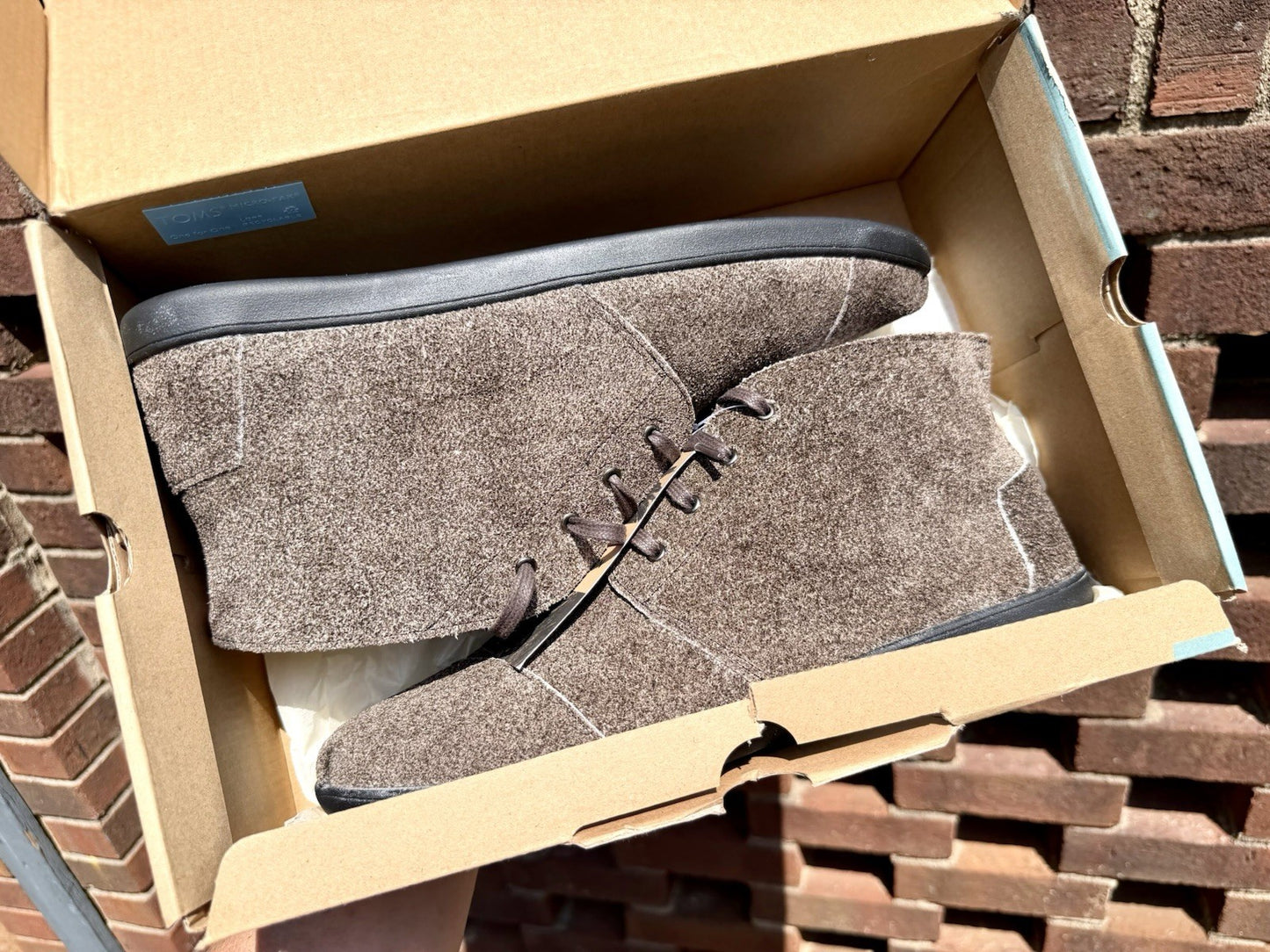 TOMS Mens Bota Shaggy Suede Cupsole Chukka Boots Venice Collection NIB Size 12
