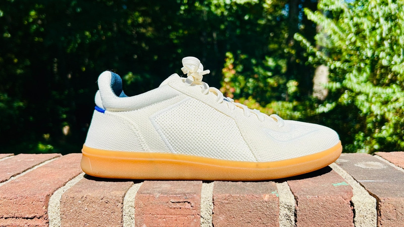 Rothys Men's RS01 Sneaker Size 7.5 Bone White Knit Lace Up Travel Shoe Casual