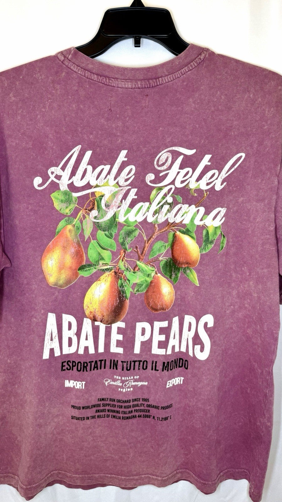 Primark Men’s Large Relaxed Fit Heather Burgandy “Pears” T-shirt