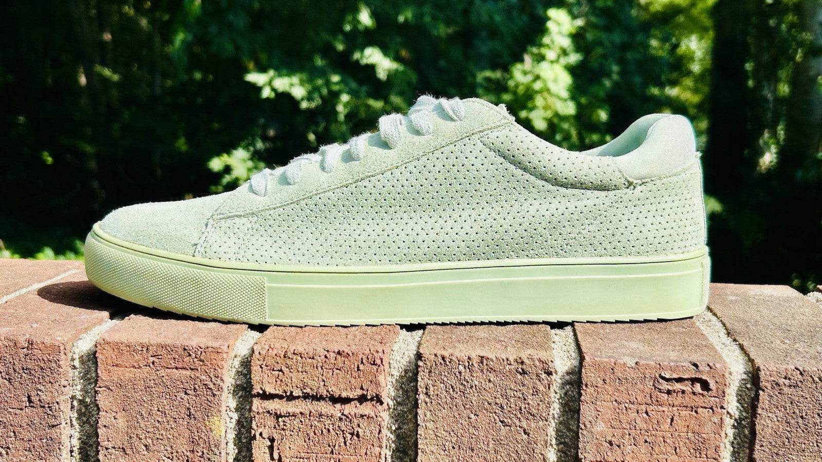 Rare!!! Steve Madden Men’s Mint Green Sneaker / Low Top /Leather / Men’s Size 10