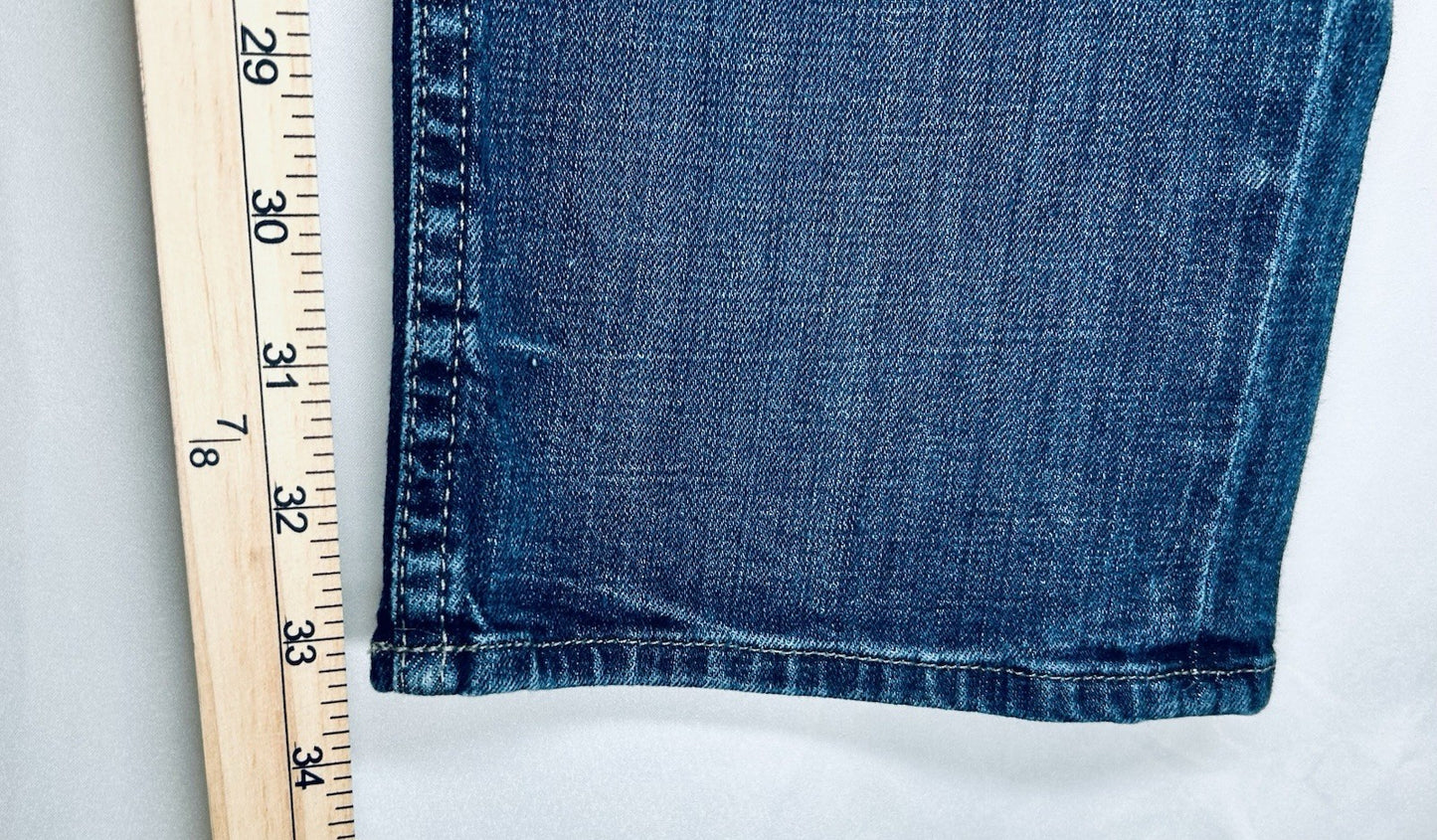 Hudson Jeans Mens 33x32 Byron Five Pocket Straight Blue Button-Fly Preppy City