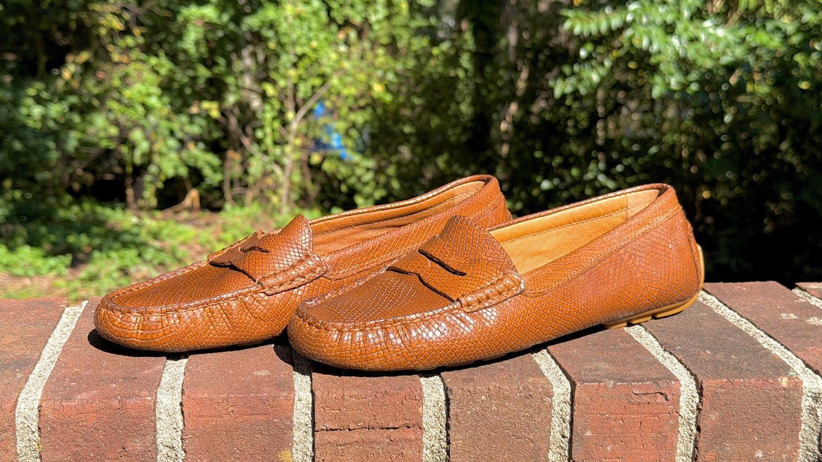 Lauren Ralph Lauren / Women's Camila Moccasin Size 10B / Polo Tan Glossy Snake