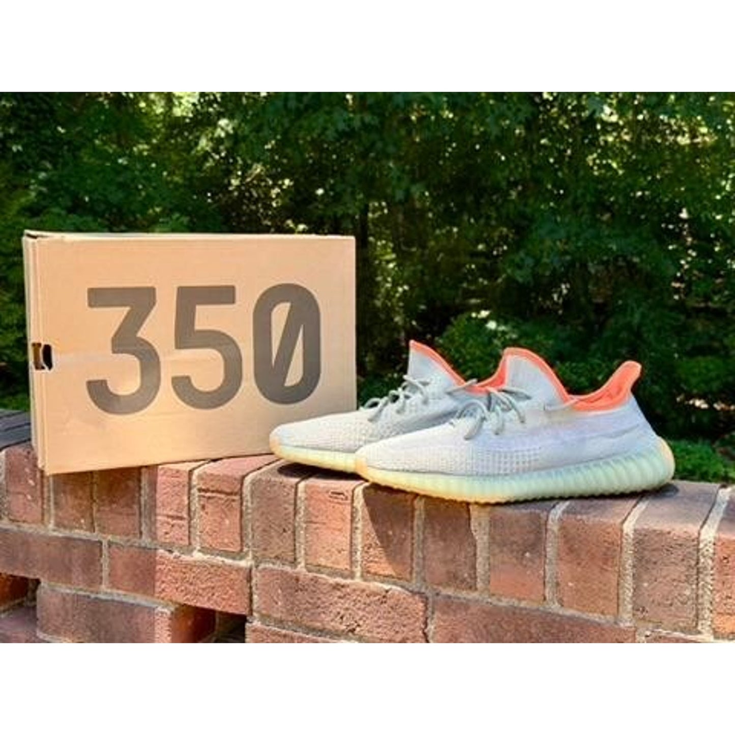 Adidas Yeezy Boost 350 V2 Desert Sage Mens Size 12 FX9035 NIB w/ COA
