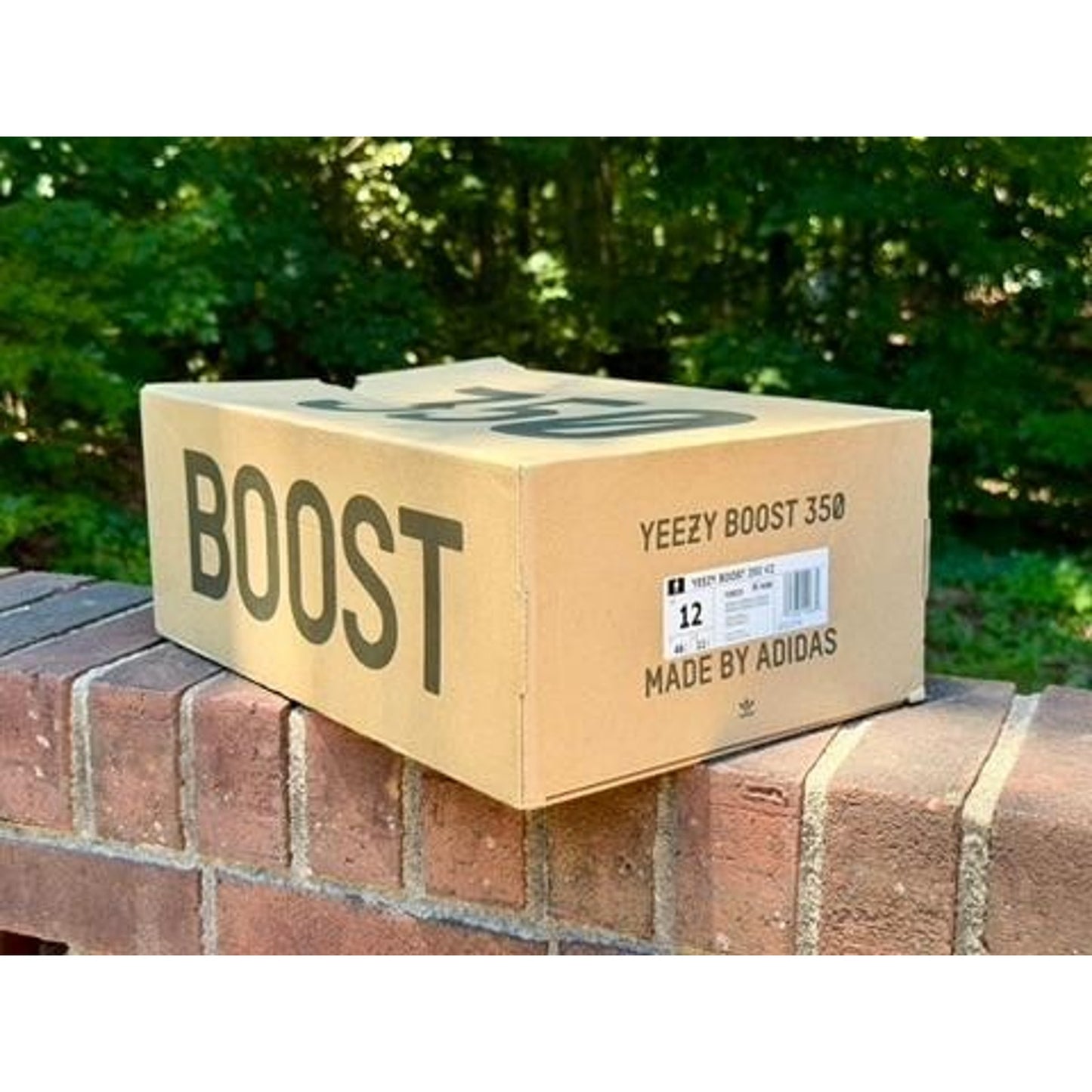 Adidas Yeezy Boost 350 V2 Desert Sage Mens Size 12 FX9035 NIB w/ COA