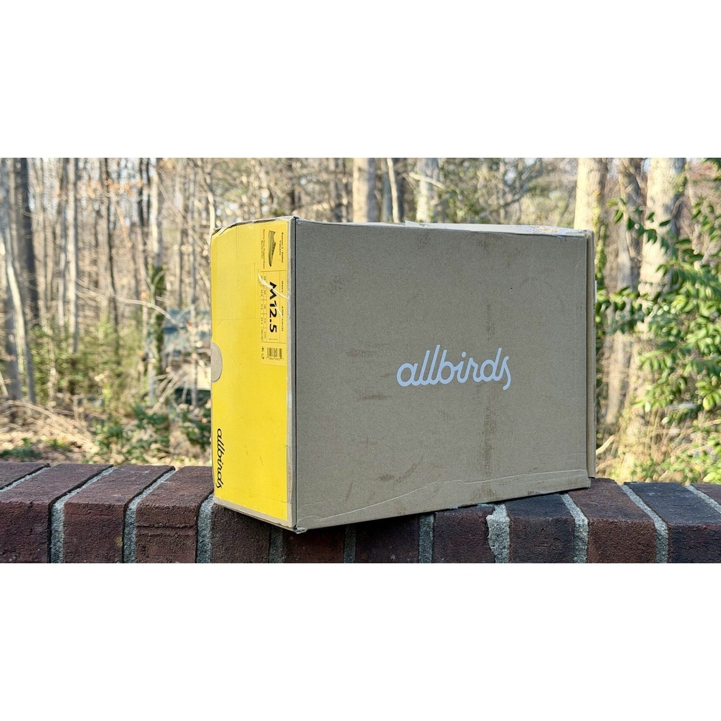 Allbirds Runner 2 - Dallol Volcano w/Box - Worn Once - Size 12.5 - Stormy Grey