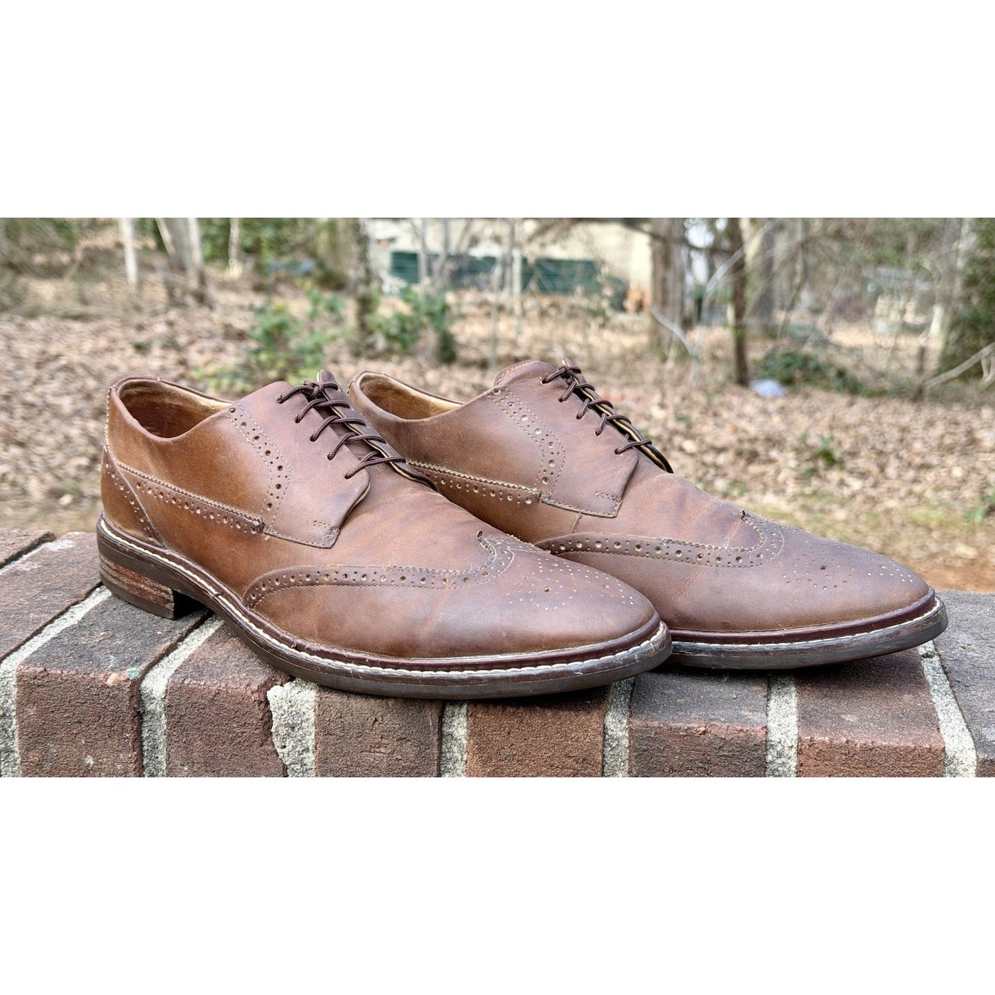 Cole Haan Men's Warren Welt Wingtip Oxford Brown Leather Size 11.5 M