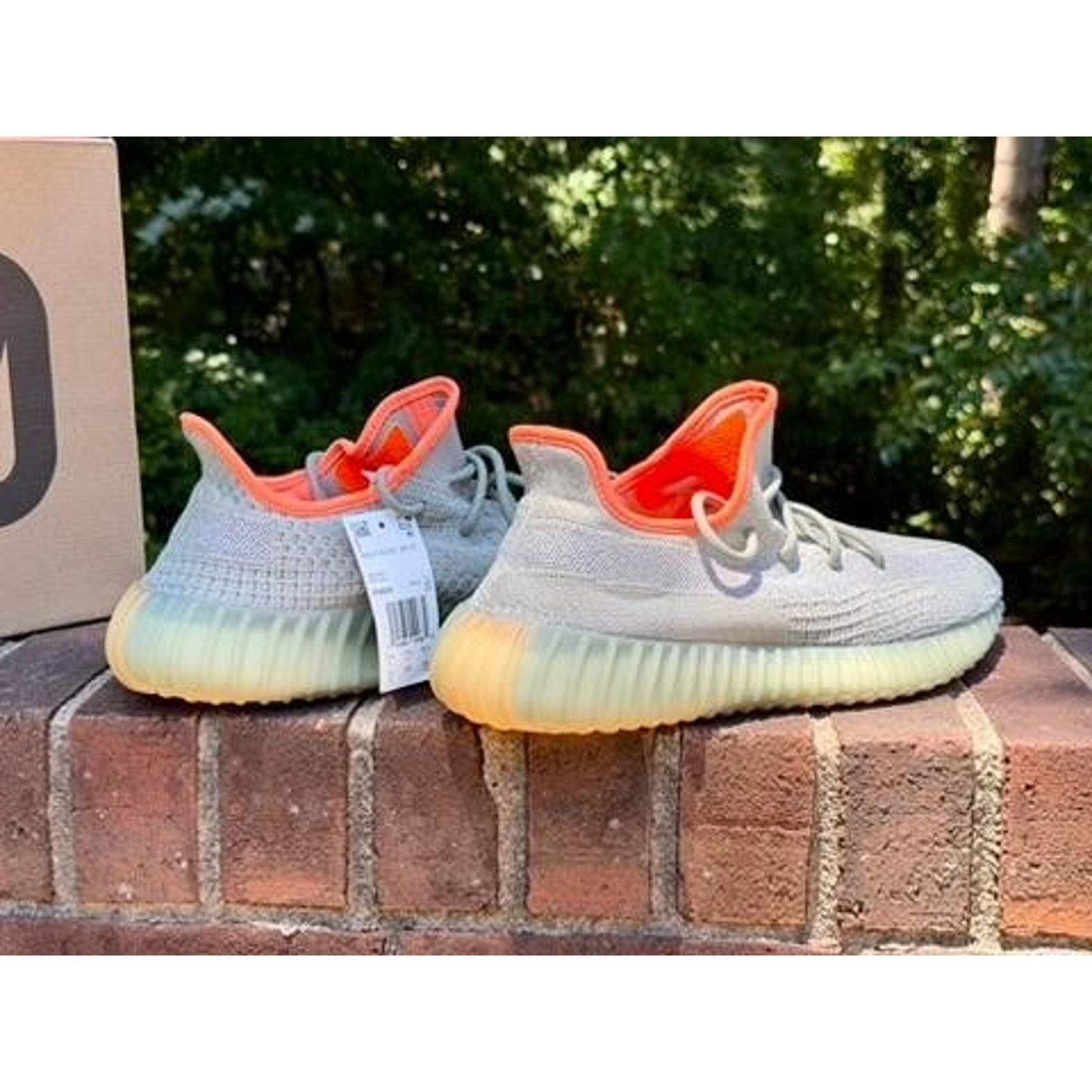 Adidas Yeezy Boost 350 V2 Desert Sage Mens Size 12 FX9035 NIB w/ COA
