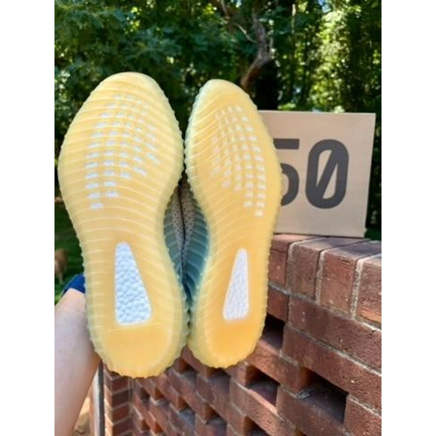 Adidas Yeezy Boost 350 V2 Desert Sage Mens Size 12 FX9035 NIB w/ COA