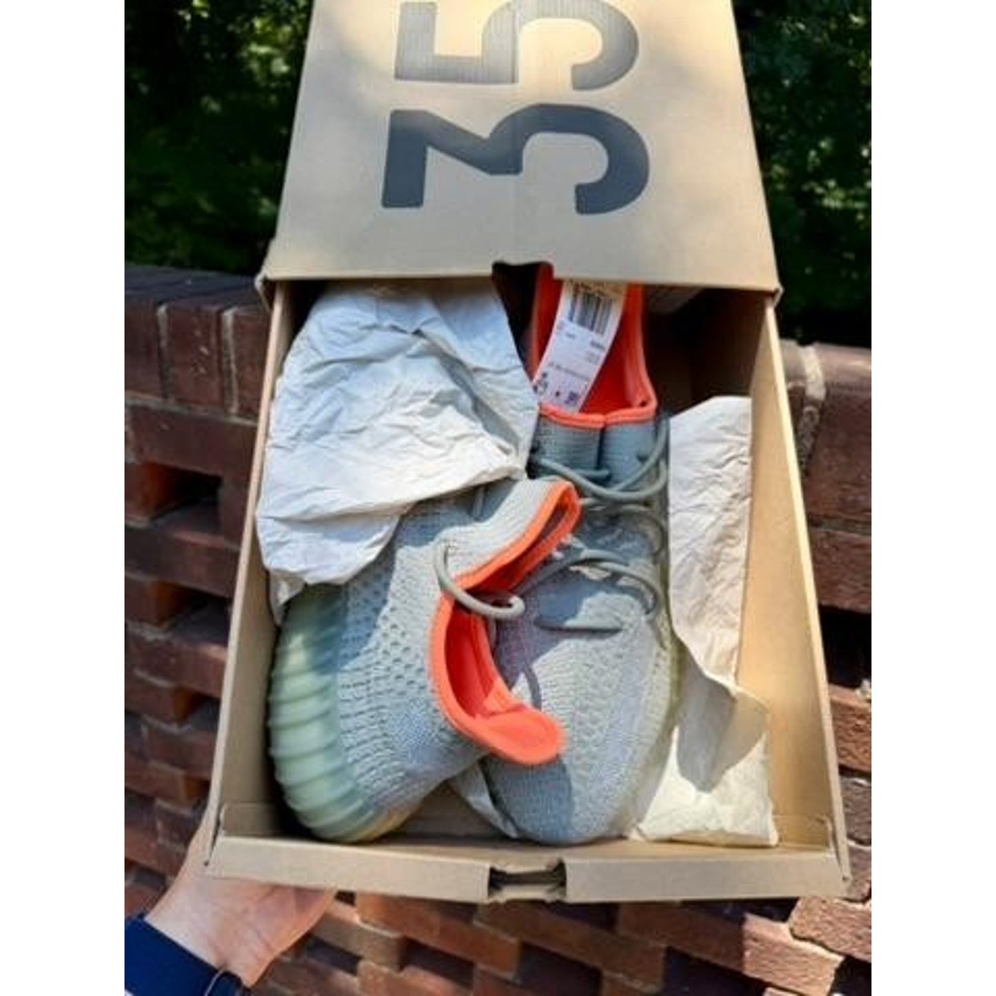 Adidas Yeezy Boost 350 V2 Desert Sage Mens Size 12 FX9035 NIB w/ COA
