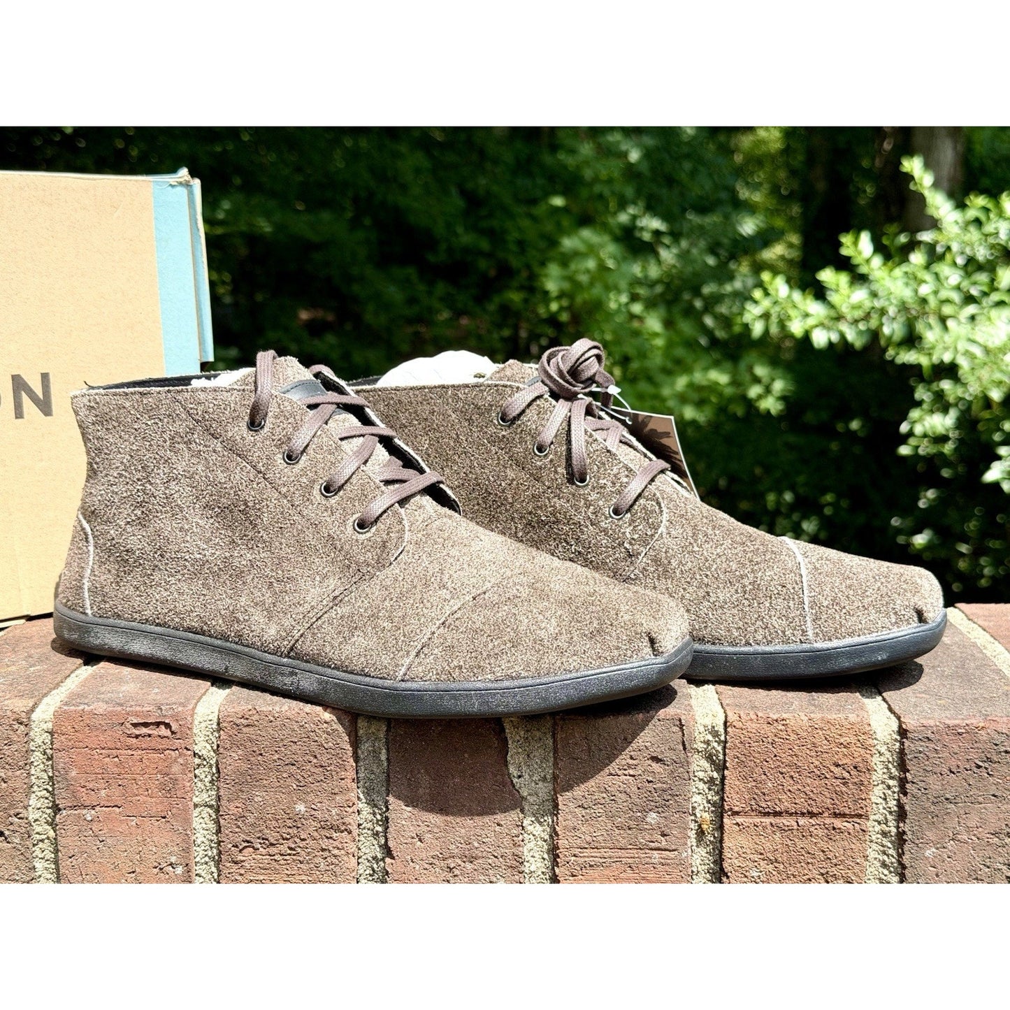 TOMS Mens Bota Shaggy Suede Cupsole Chukka Boots Venice Collection NIB Size 12