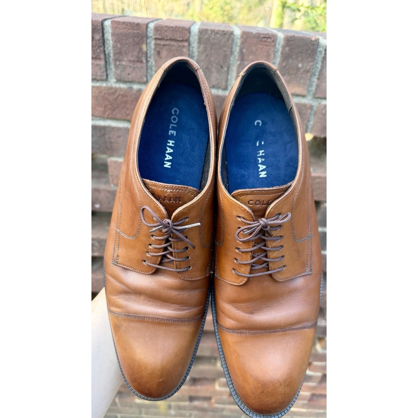 Cole Haan Men's Modern Essentials Cap Oxford British Tan C34138 Mens Size 11 M