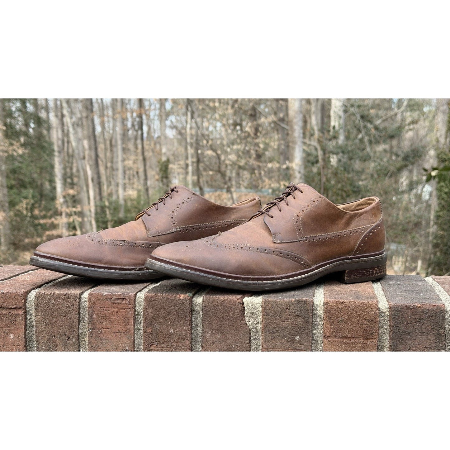 Cole Haan Men's Warren Welt Wingtip Oxford Brown Leather Size 11.5 M