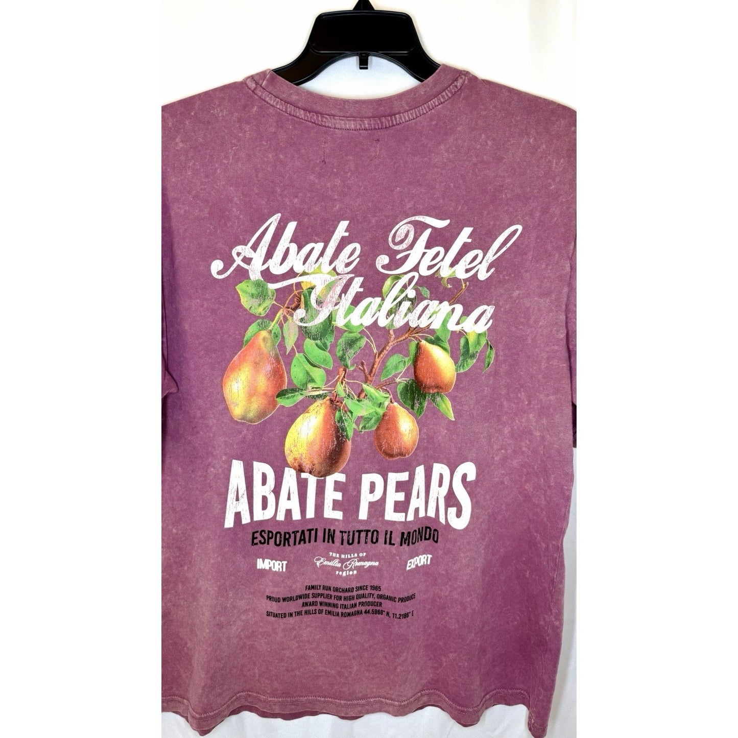 Primark Men’s Large Relaxed Fit Heather Burgandy “Pears” T-shirt