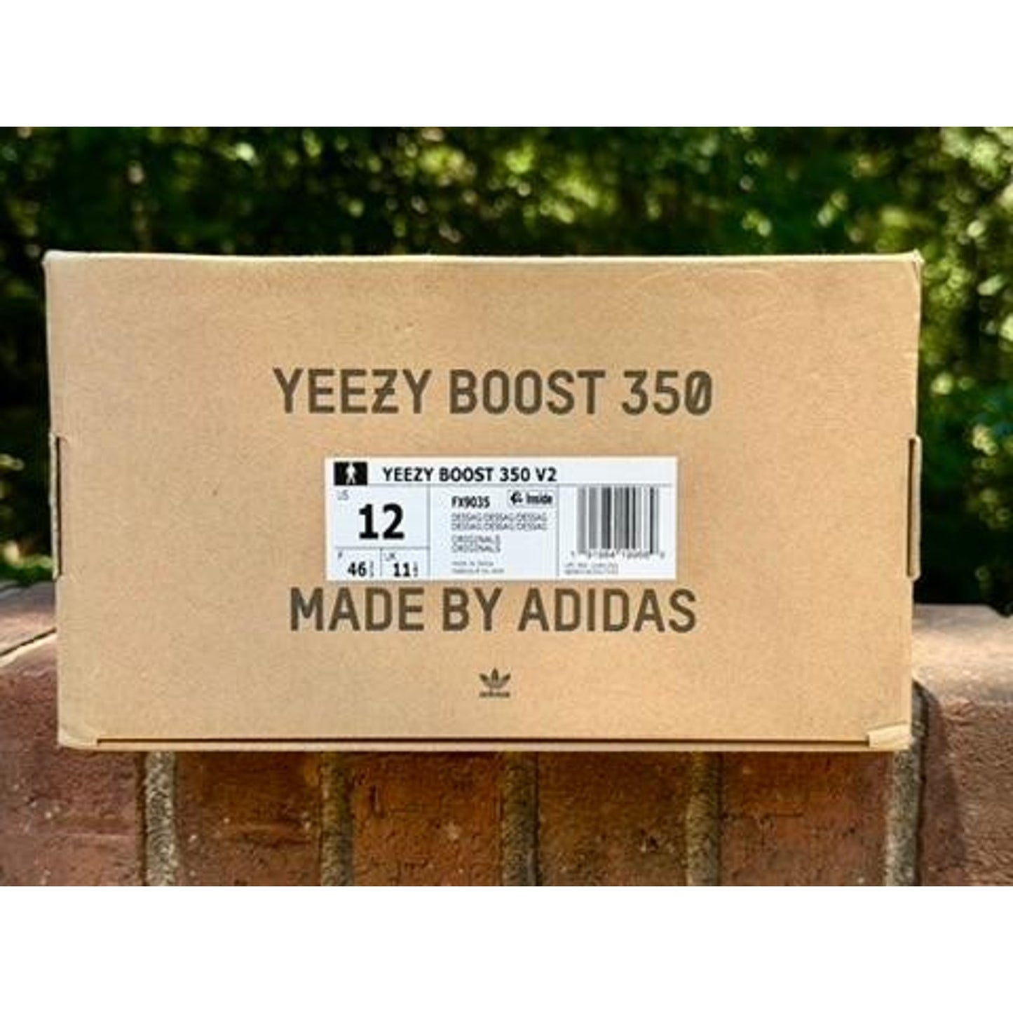 Adidas Yeezy Boost 350 V2 Desert Sage Mens Size 12 FX9035 NIB w/ COA