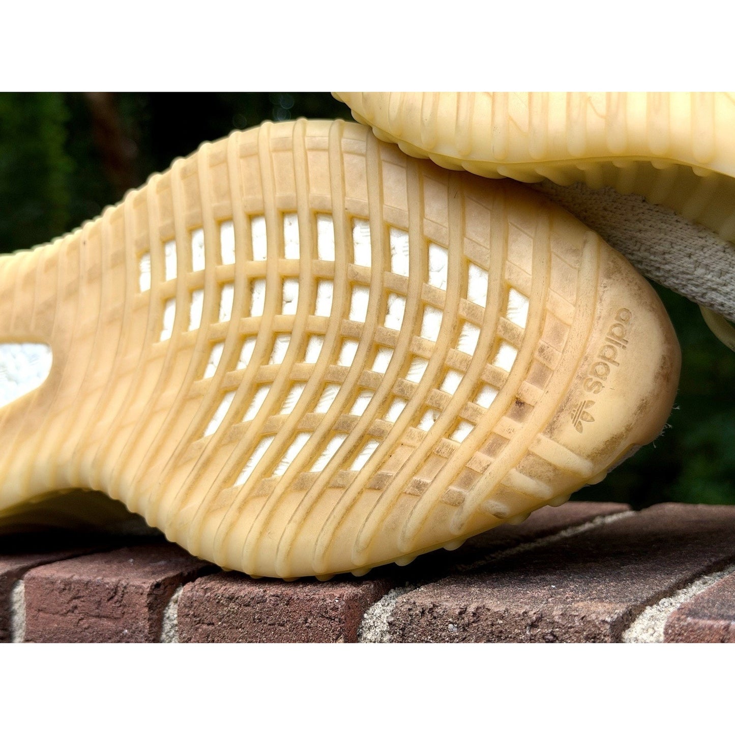 Size 12 - adidas Yeezy Boost 350 V2 Butter