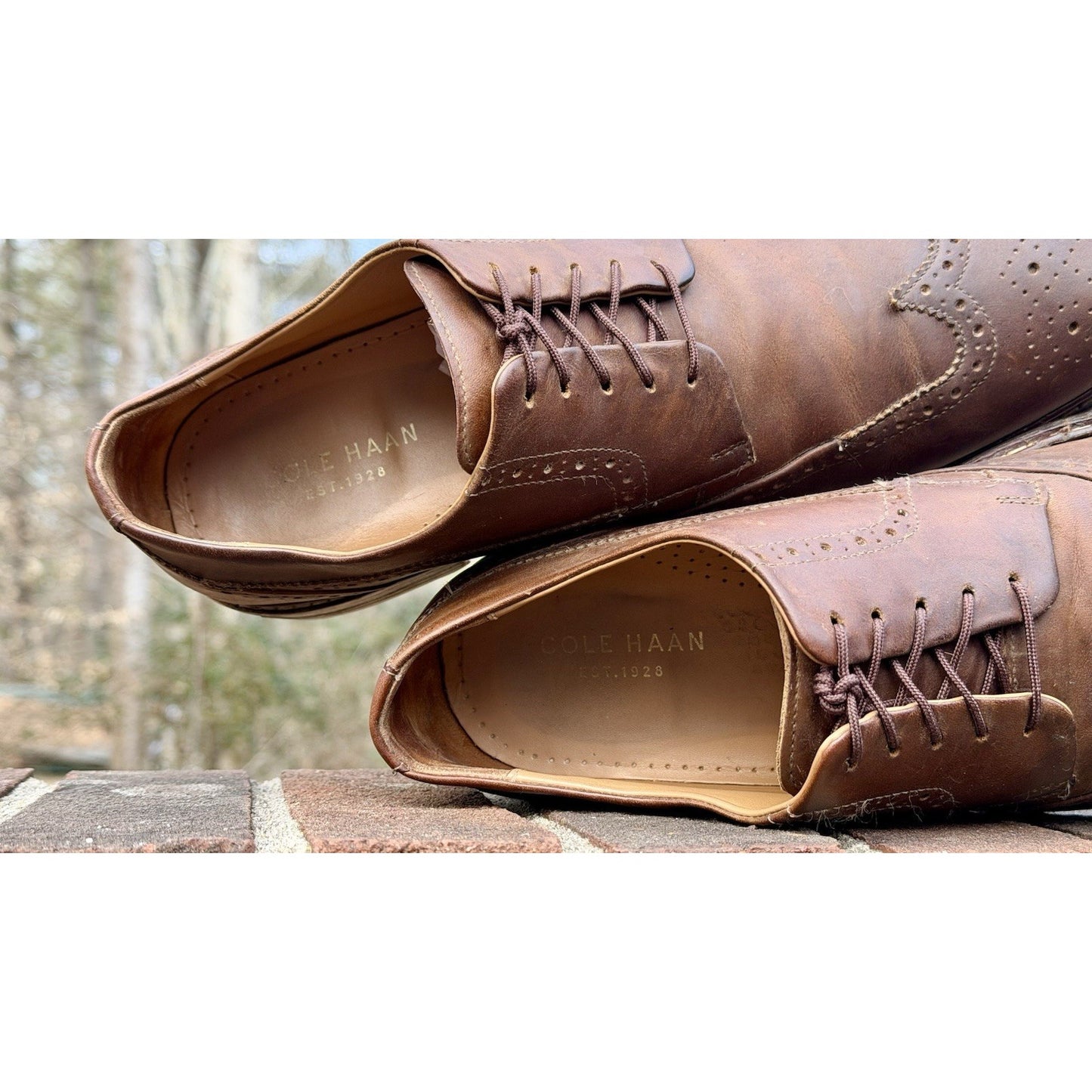 Cole Haan Men's Warren Welt Wingtip Oxford Brown Leather Size 11.5 M