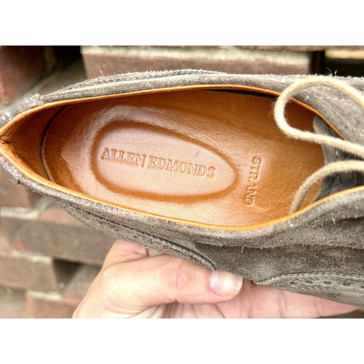 Allen Edmonds Strand Sneaker Grey Suede Men’s 12D Oxford Dress Shoes $300+ New