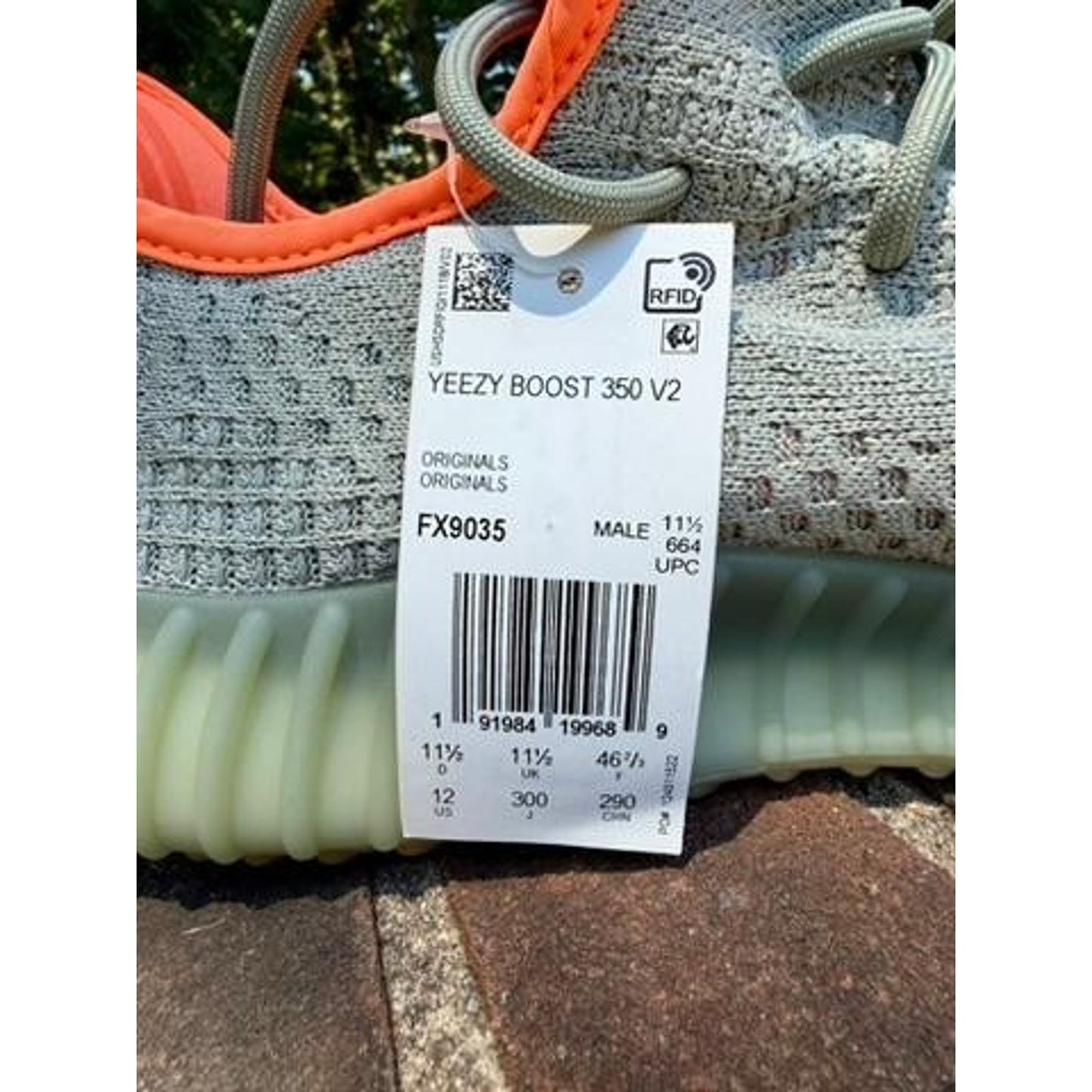 Adidas Yeezy Boost 350 V2 Desert Sage Mens Size 12 FX9035 NIB w/ COA