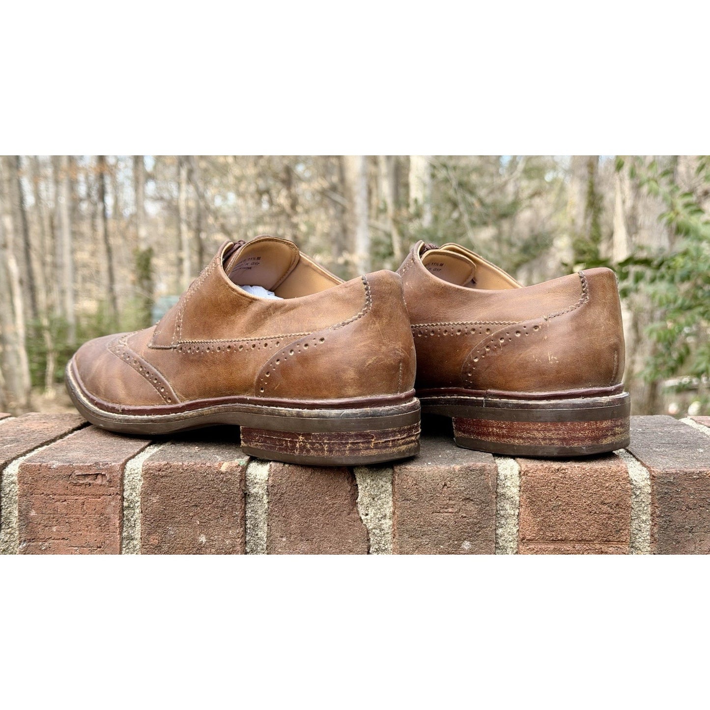 Cole Haan Men's Warren Welt Wingtip Oxford Brown Leather Size 11.5 M