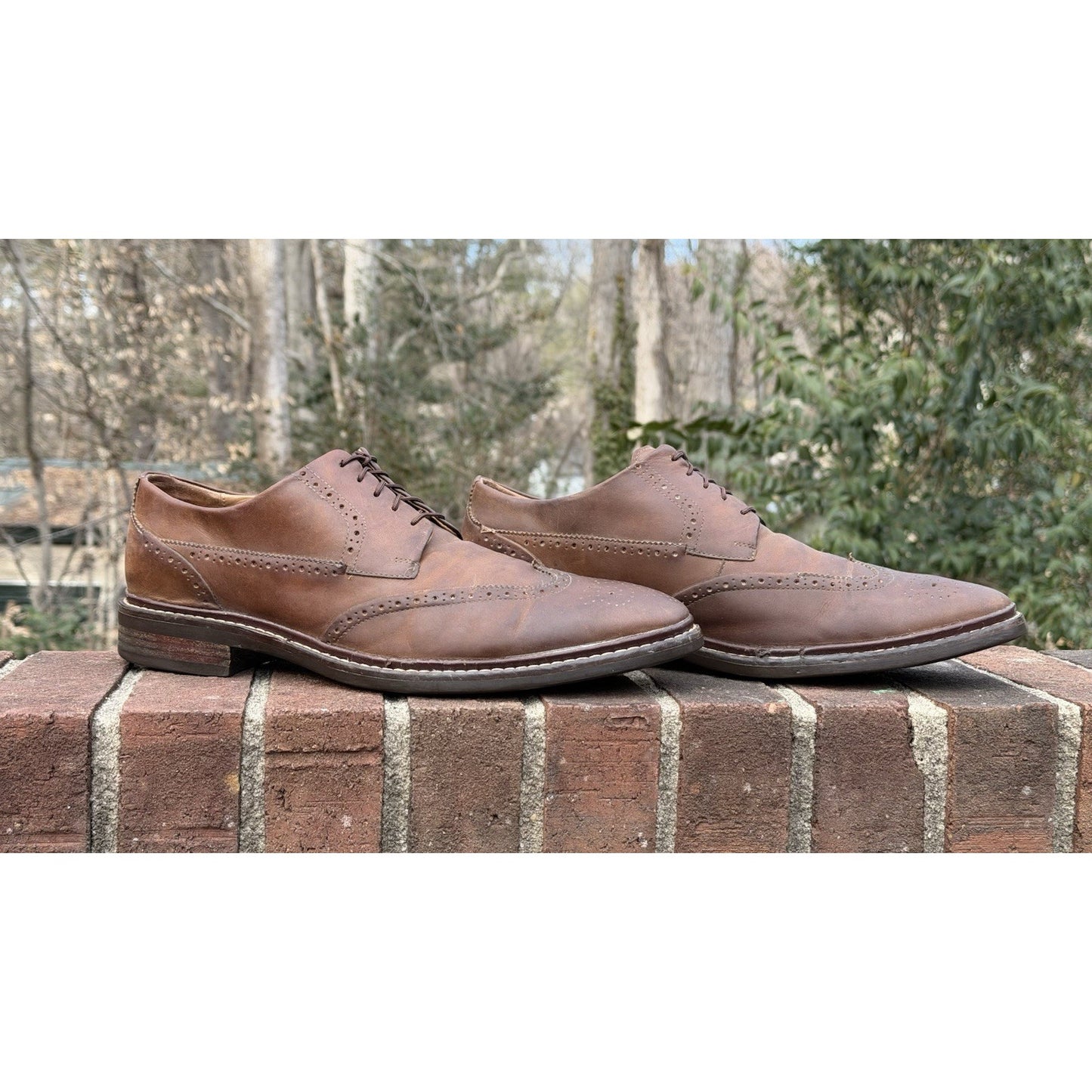 Cole Haan Men's Warren Welt Wingtip Oxford Brown Leather Size 11.5 M